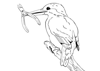 Oiseau tenant dans son bec une pince coupante.