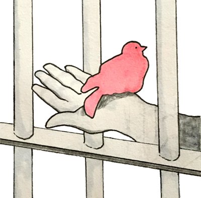 Un taulard tient un oiseau dans sa main