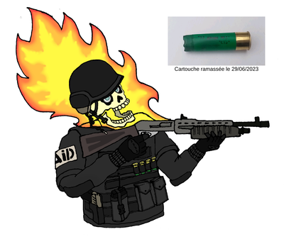Un policier du RAID se prend un retour de flamme